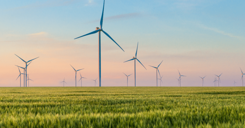 REZ, Wind Farm