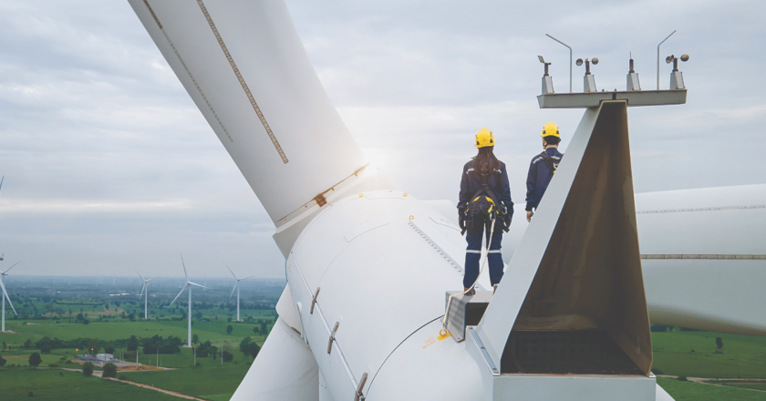 Tim Buckley, wind turbine, Iberdrola Australia